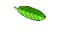 Cropcircles