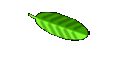 magazine paper